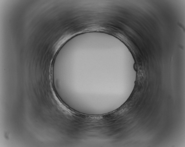X0000100981055200806241144