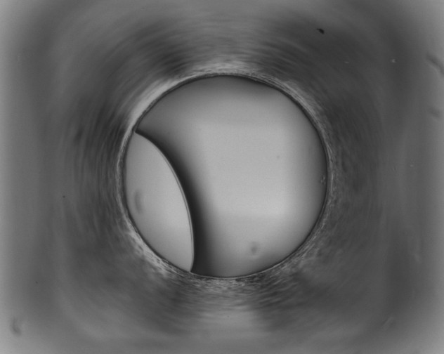 X0000100981056200806241144