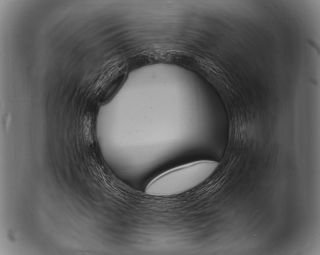 X0000100981060200806241143