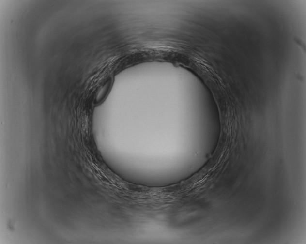 X0000100981061200806241143