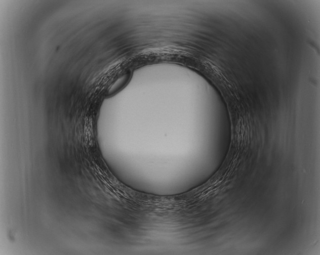 X0000100981062200806241143