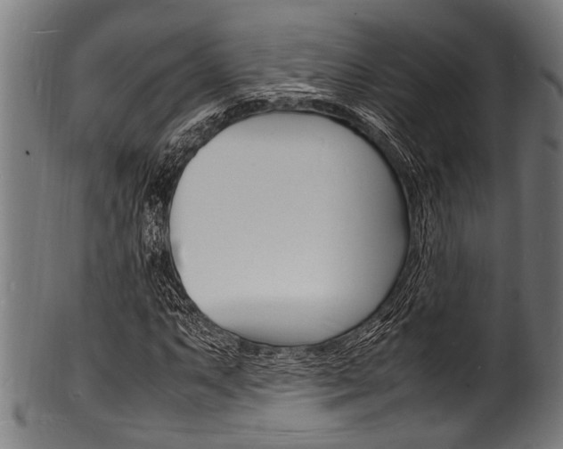 X0000100981063200806241143