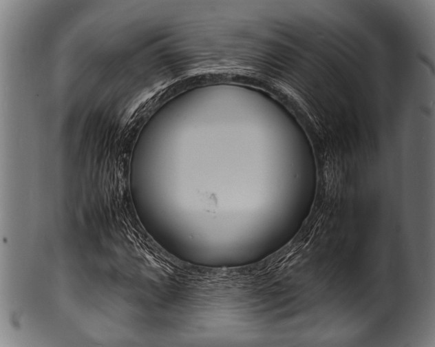 X0000100981064200806241143