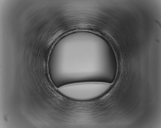 X0000100981065200806241143