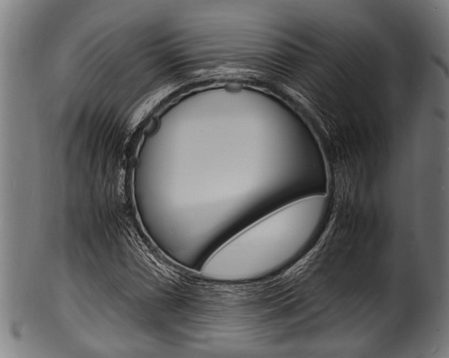 X0000100981066200806241143