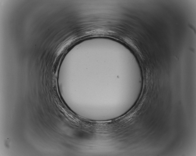 X0000100981067200806241143
