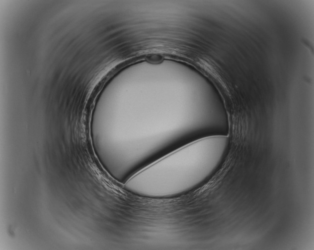 X0000100981068200806241143