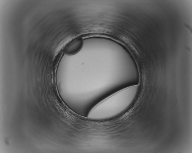 X0000100981069200806241143