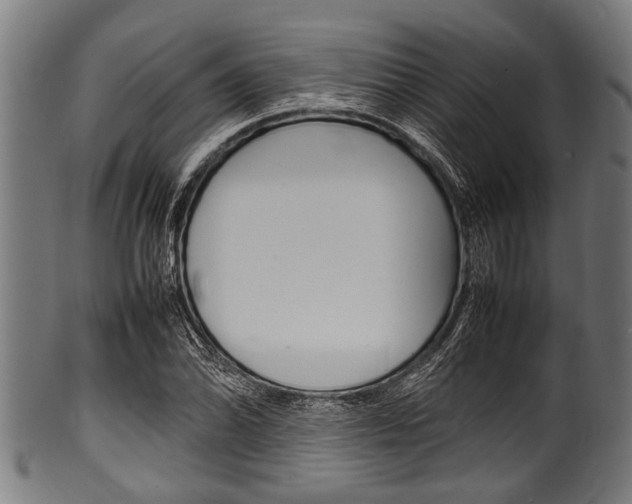 X0000100981070200806241143