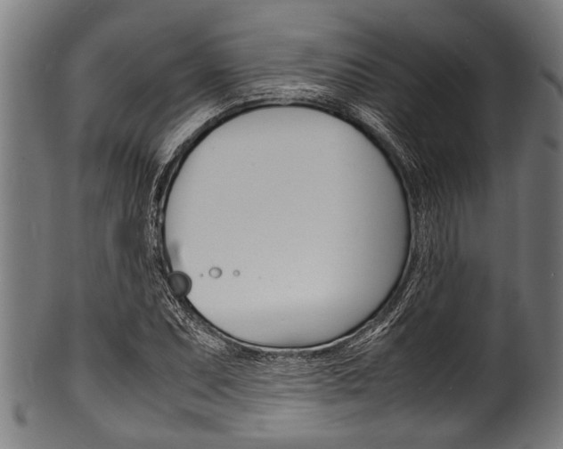 X0000100981071200806241143