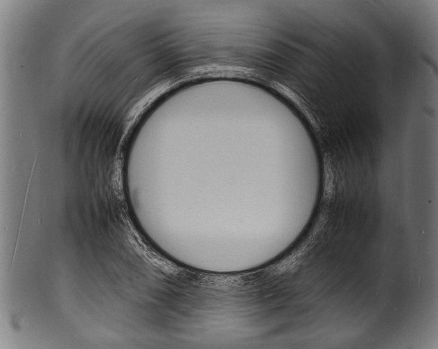 X0000100981074200806241143