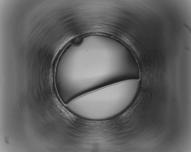 X0000100981076200806241143