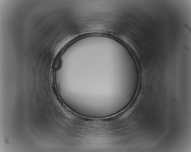 X0000100981077200806241143