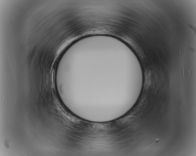X0000100981078200806241143