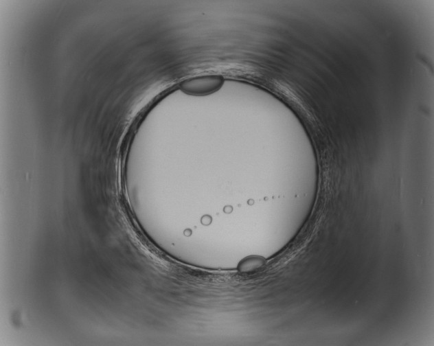 X0000100981079200806241143
