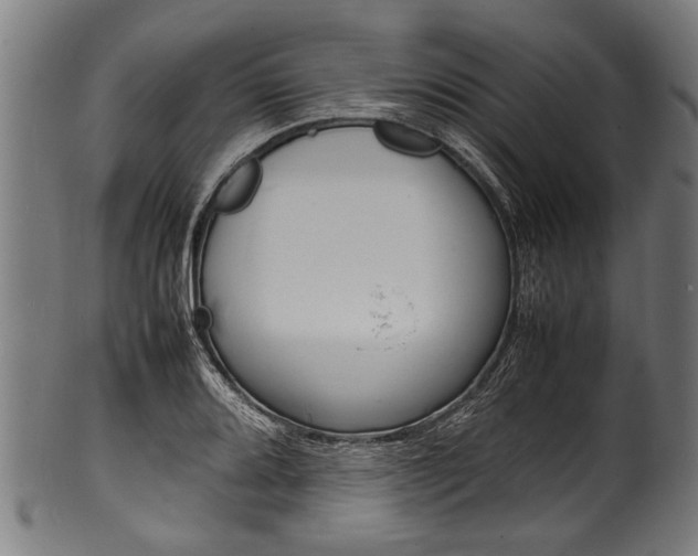 X0000100981080200806241143