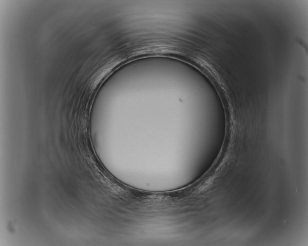 X0000100981081200806241143