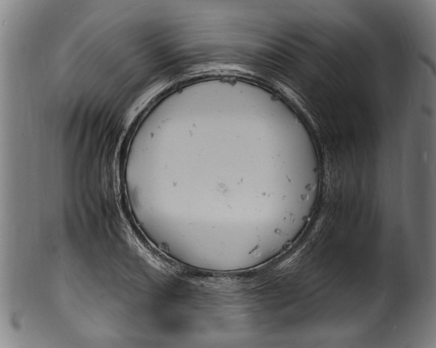 X0000100981082200806241143