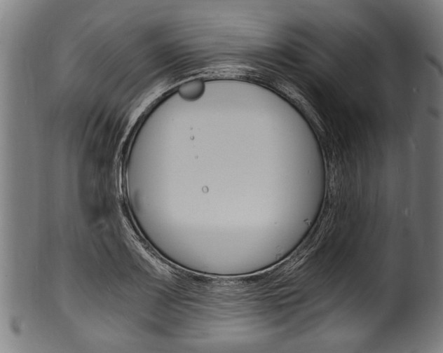 X0000100981083200806241143