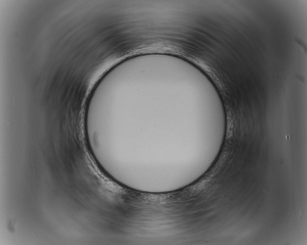 X0000100981086200806241143