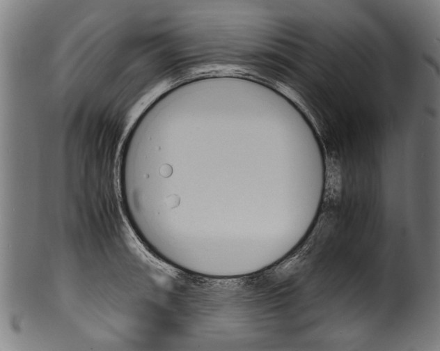 X0000100981090200806241143