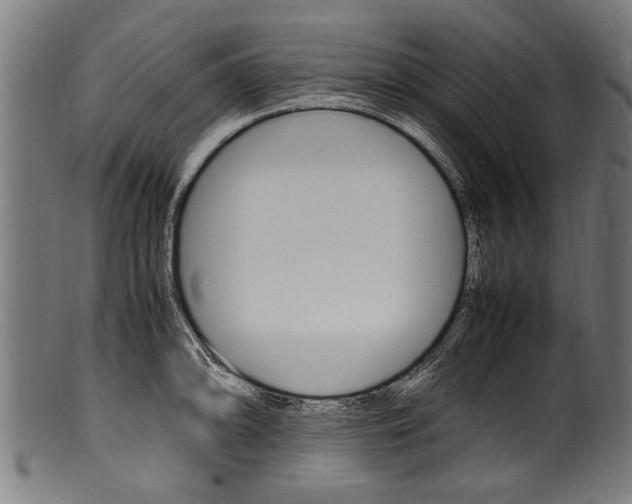 X0000100981094200806241142