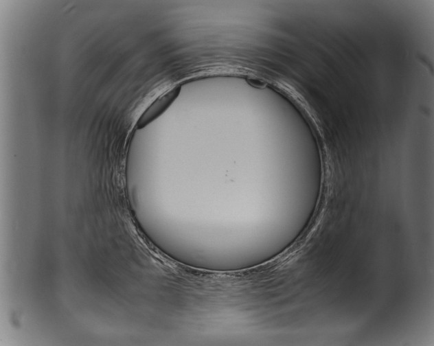 X0000100981097200806241142