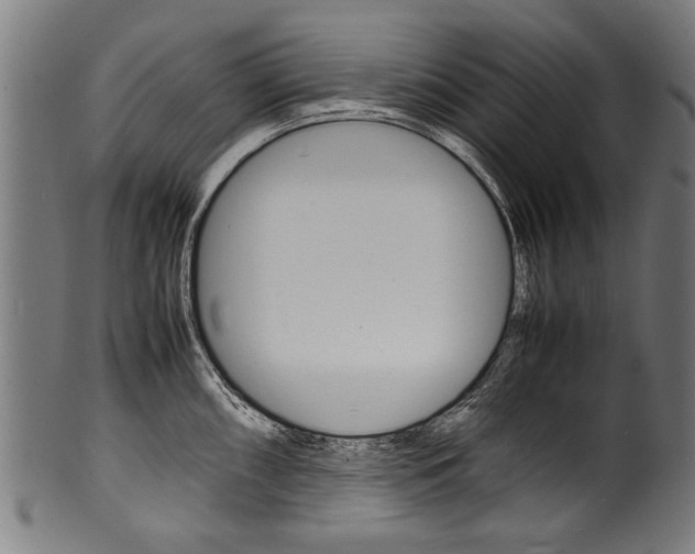 X0000100981098200806241142