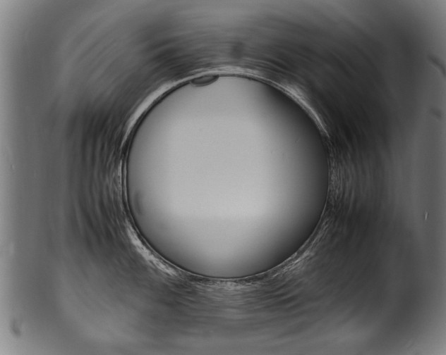 X0000100981100200806241142