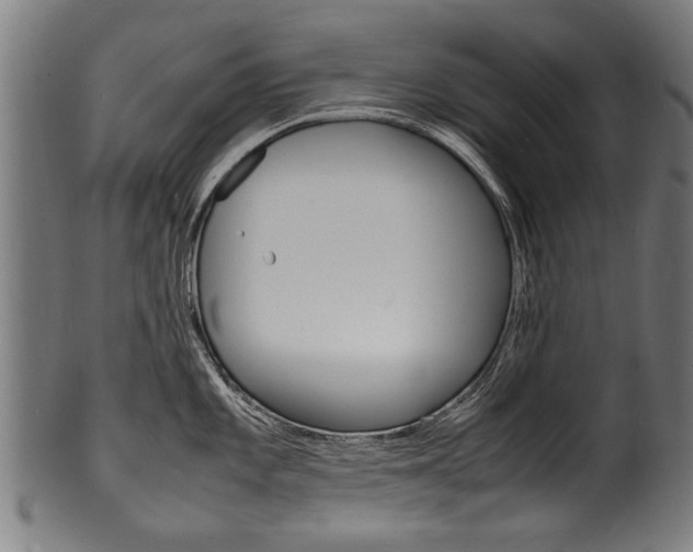 X0000100981101200806241142