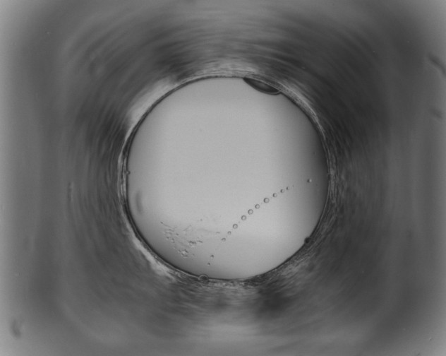 X0000100981103200806241142