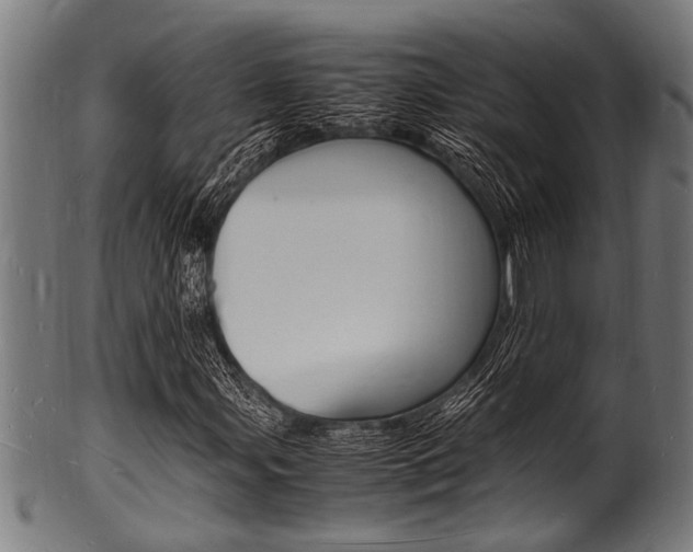 X0000100981107200806241142