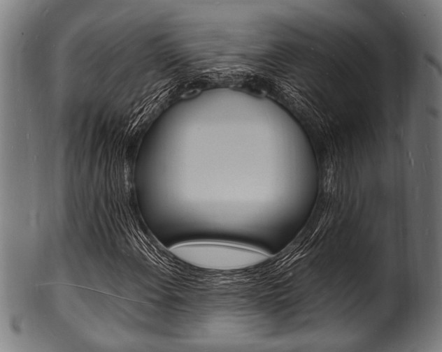 X0000100981108200806241142