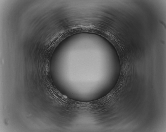 X0000100981110200806241142