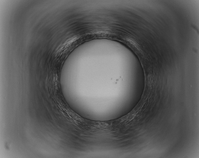 X0000100981111200806241142