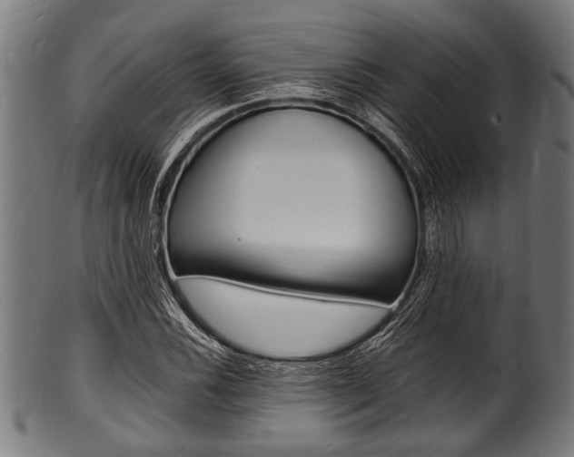 X0000100981116200806241142