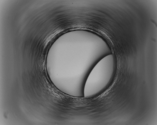 X0000100981117200806241142
