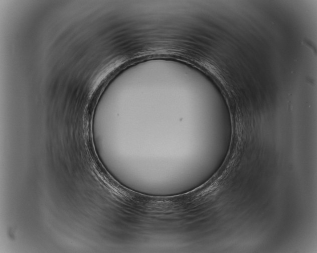 X0000100981119200806241142