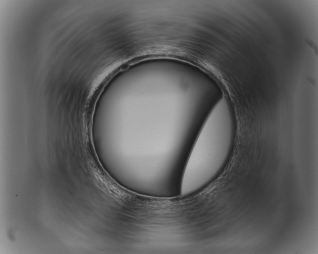X0000100981120200806241142