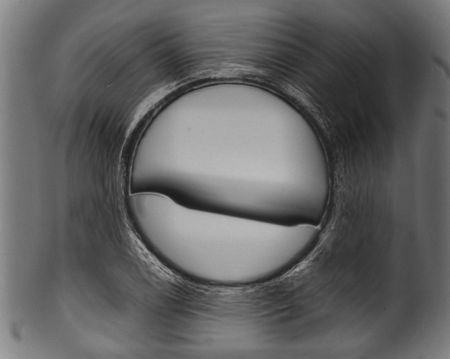 X0000100981122200806241142