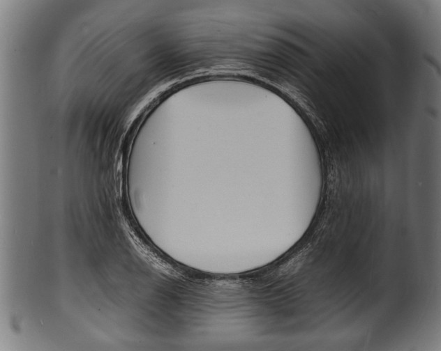 X0000100981126200806241142