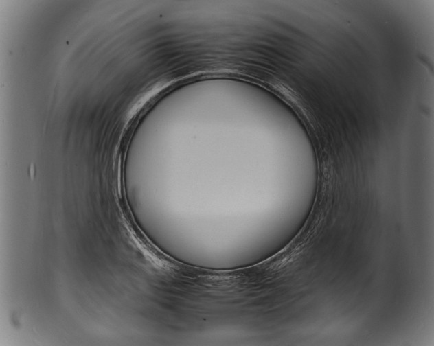 X0000100981127200806241142