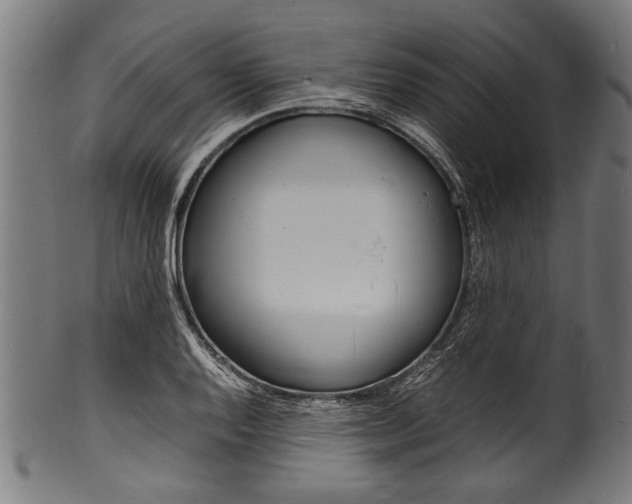 X0000100981128200806241142