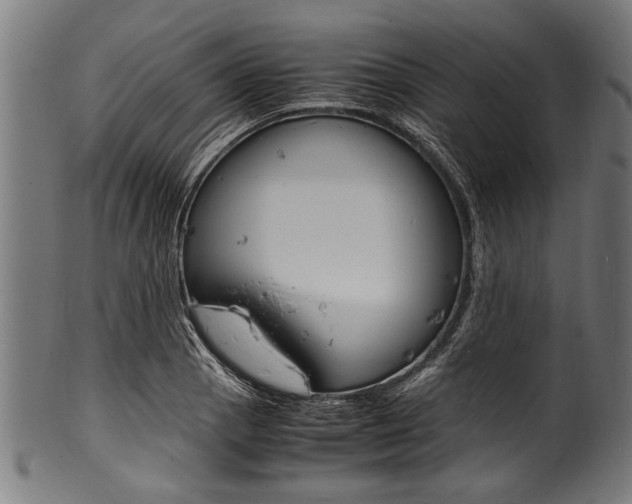 X0000100981129200806241142