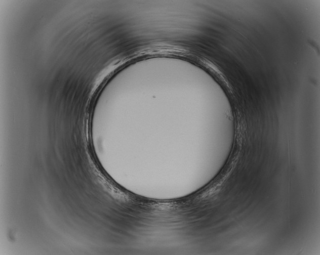 X0000100981130200806241142