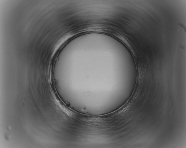 X0000100981131200806241142