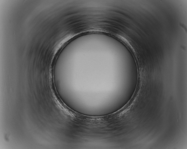 X0000100981133200806241142