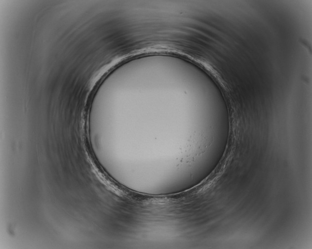 X0000100981134200806241142