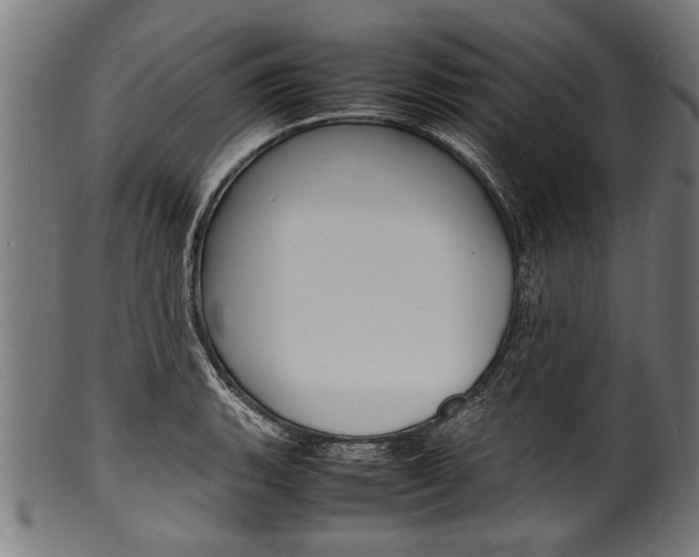 X0000100981135200806241142