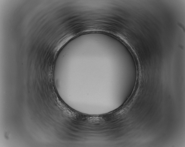 X0000100981137200806241142